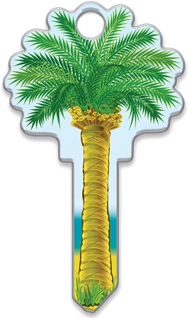 Palm Tree Key